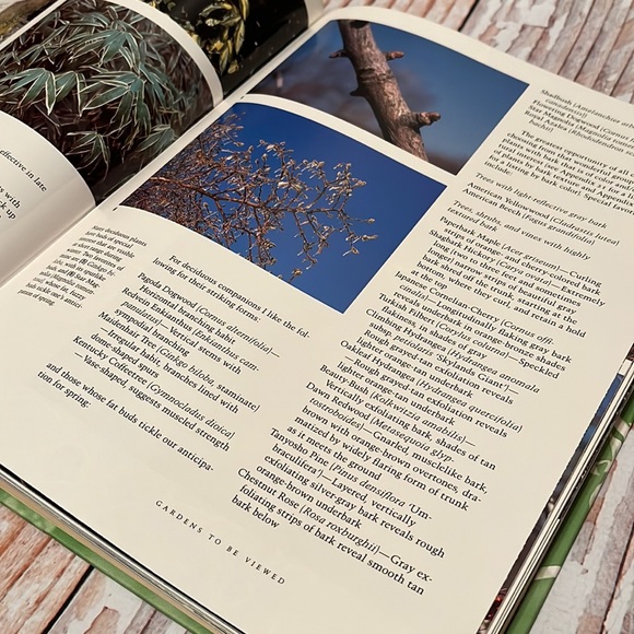 The Exuberant Garden and the Controlling Hand - Picture 10 of 16